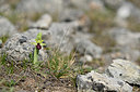 BUITEN BEELD Foto: 342049
