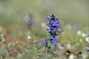BUITEN BEELD Foto: 342052