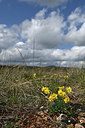 BUITEN BEELD Foto: 342058