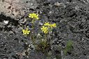 BUITEN BEELD Foto: 342063