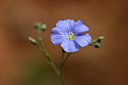 BUITEN BEELD Foto: 342064