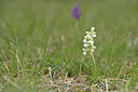 BUITEN BEELD Foto: 342069