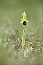 BUITEN BEELD Foto: 342073