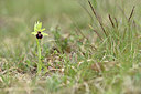 BUITEN BEELD Foto: 342074