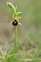 BUITEN BEELD Foto: 342076