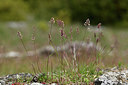 BUITEN BEELD Foto: 342078