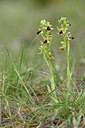 BUITEN BEELD Foto: 342086