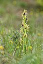 BUITEN BEELD Foto: 342091