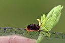 BUITEN BEELD Foto: 342095