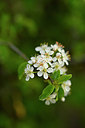 BUITEN BEELD Foto: 342124