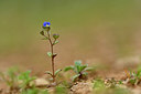 BUITEN BEELD Foto: 342161