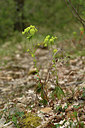 BUITEN BEELD Foto: 342166