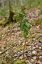 BUITEN BEELD Foto: 342168