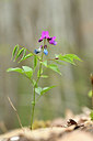 BUITEN BEELD Foto: 342169