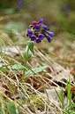 BUITEN BEELD Foto: 342176