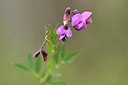 BUITEN BEELD Foto: 342185