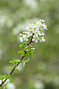 BUITEN BEELD Foto: 342189