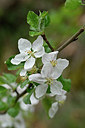BUITEN BEELD Foto: 342195