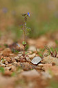 BUITEN BEELD Foto: 342199