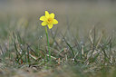 BUITEN BEELD Foto: 342200