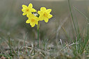 BUITEN BEELD Foto: 342201