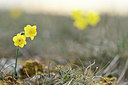 BUITEN BEELD Foto: 342202