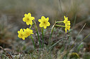 BUITEN BEELD Foto: 342203