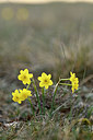 BUITEN BEELD Foto: 342204