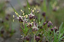 BUITEN BEELD Foto: 342208
