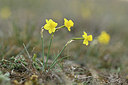 BUITEN BEELD Foto: 342209