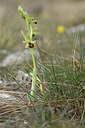 BUITEN BEELD Foto: 342215