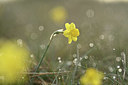 BUITEN BEELD Foto: 342220