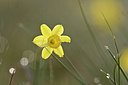 BUITEN BEELD Foto: 342221