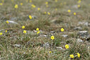 BUITEN BEELD Foto: 342223
