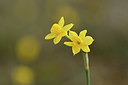 BUITEN BEELD Foto: 342226