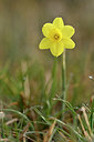 BUITEN BEELD Foto: 342229