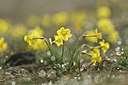 BUITEN BEELD Foto: 342230