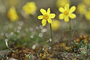 BUITEN BEELD Foto: 342232