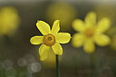BUITEN BEELD Foto: 342233