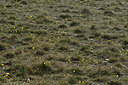 BUITEN BEELD Foto: 342236