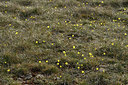 BUITEN BEELD Foto: 342237