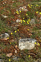 BUITEN BEELD Foto: 342238