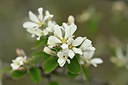 BUITEN BEELD Foto: 342264