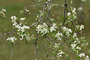BUITEN BEELD Foto: 342265