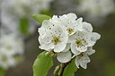 BUITEN BEELD Foto: 342271