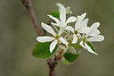BUITEN BEELD Foto: 342272
