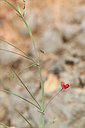 BUITEN BEELD Foto: 342298