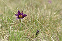 BUITEN BEELD Foto: 342334