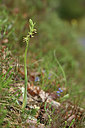 BUITEN BEELD Foto: 342350