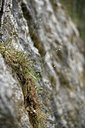 BUITEN BEELD Foto: 342351